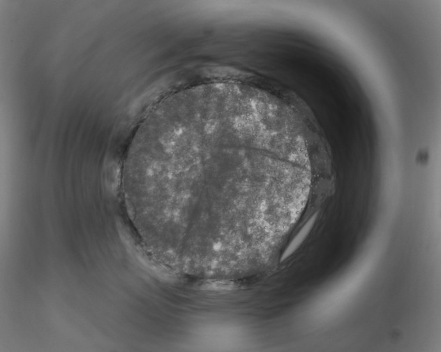 X0000115630767200912221249