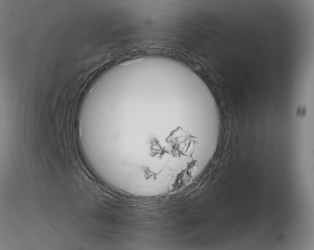 X0000115630769200912221248
