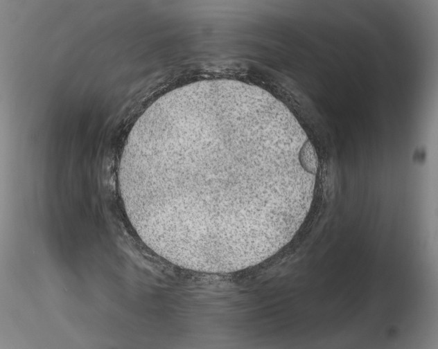 X0000115630770200912221248