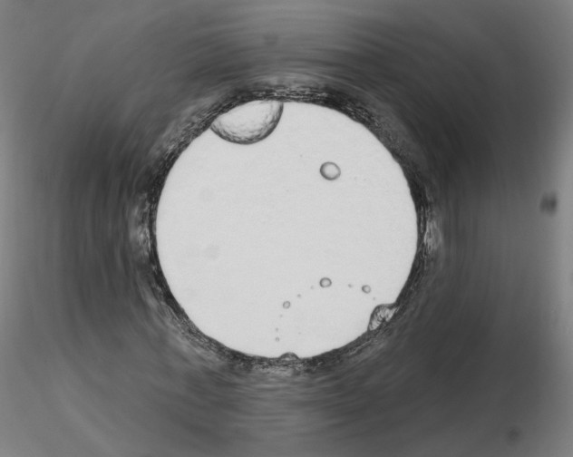 X0000115630771200912221248