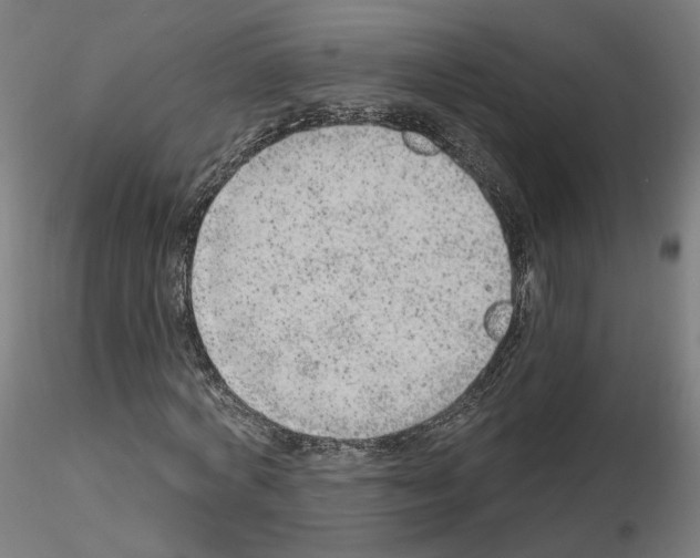 X0000115630772200912221248
