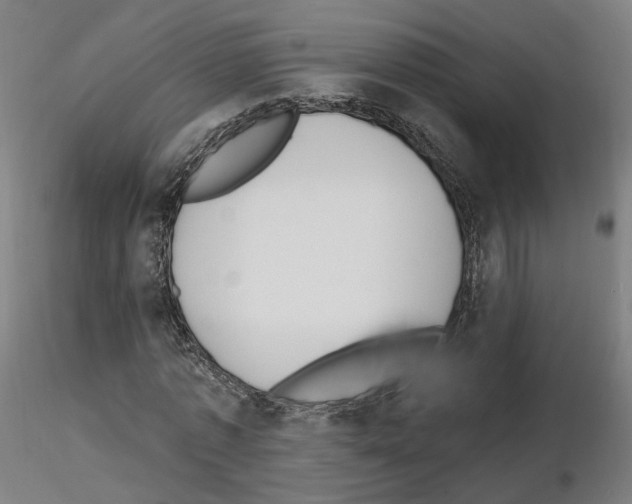 X0000115630773200912221248