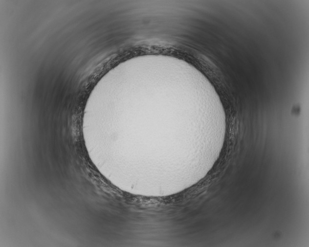 X0000115630774200912221248