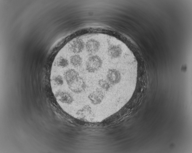 X0000115630775200912221248
