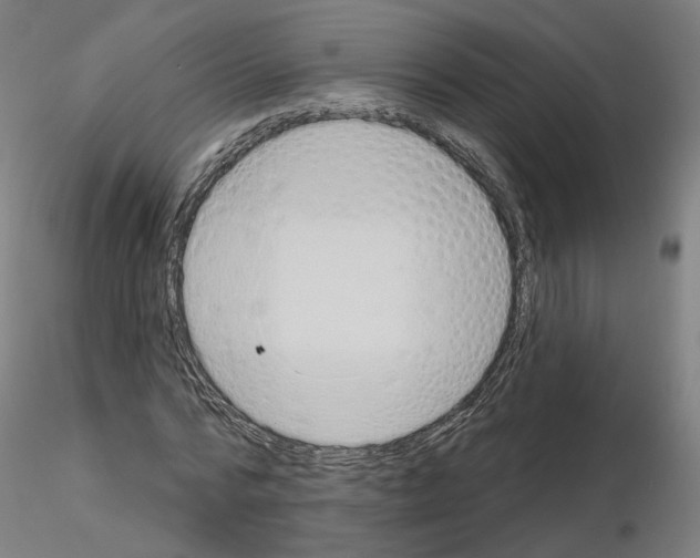 X0000115630776200912221248