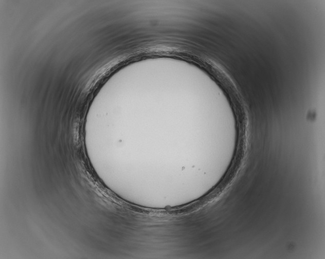 X0000115630777200912221248