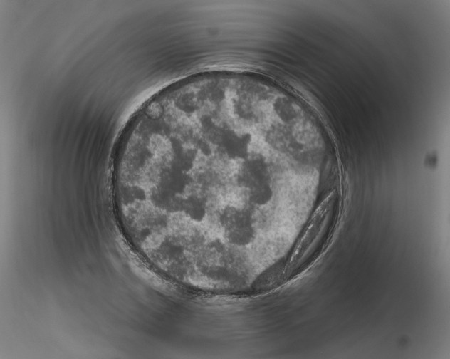 X0000115630779200912221248