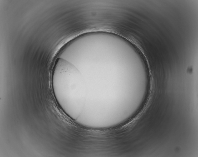 X0000115630781200912221248
