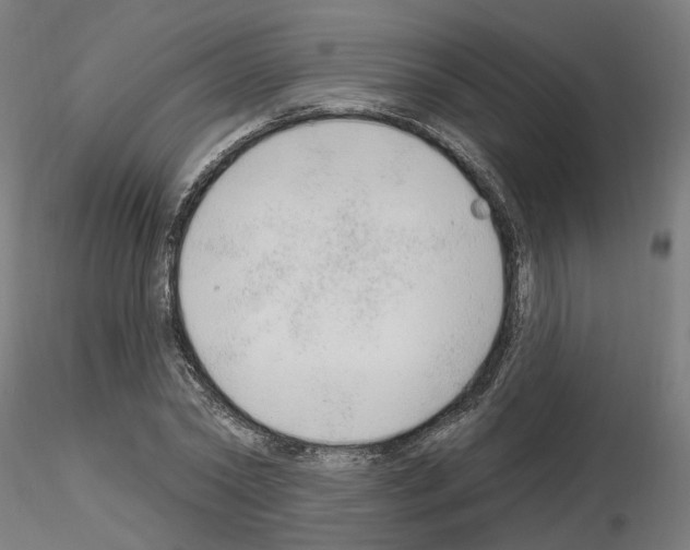 X0000115630782200912221248