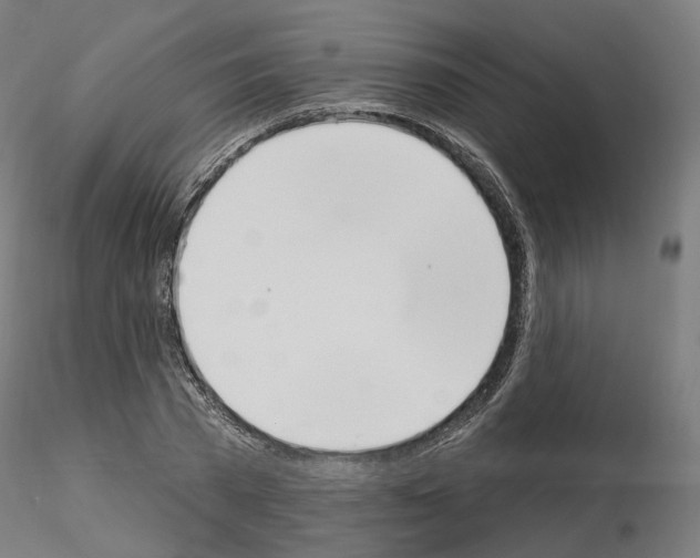 X0000115630785200912221248