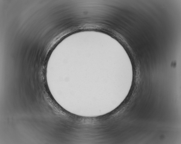X0000115630786200912221248
