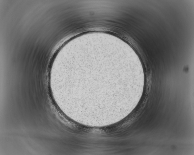 X0000115630787200912221248