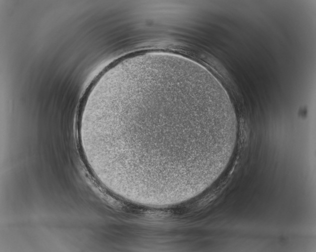 X0000115630788200912221248