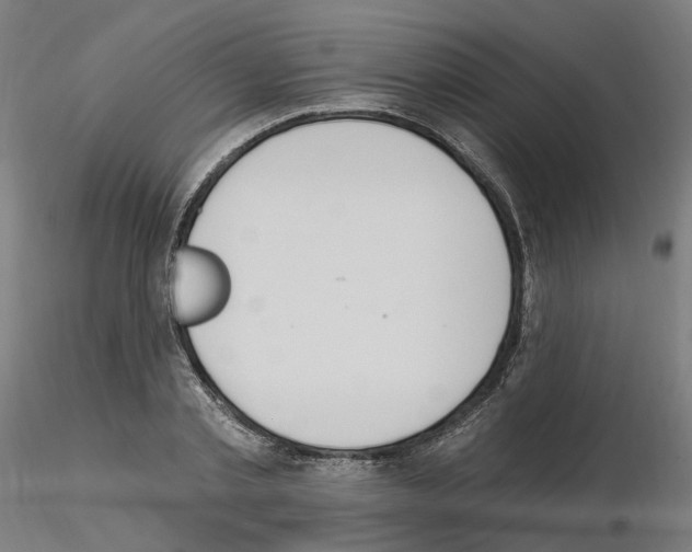 X0000115630789200912221248