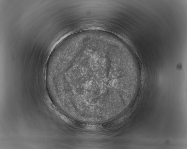 X0000115630790200912221248