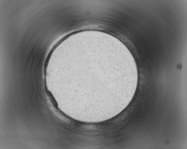 X0000115630792200912221248