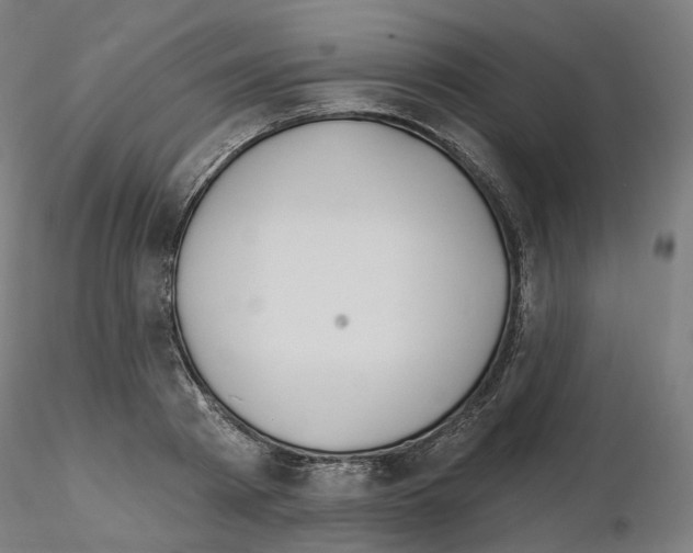 X0000115630793200912221248