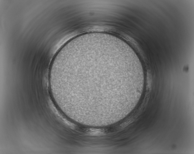 X0000115630794200912221248