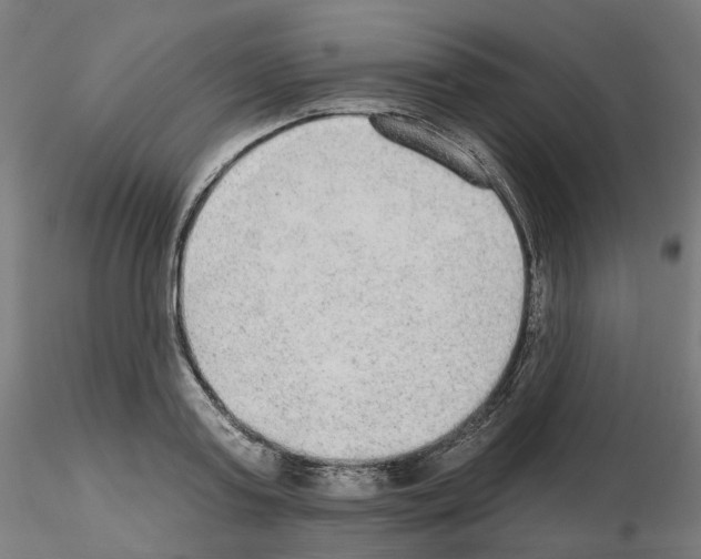 X0000115630795200912221248