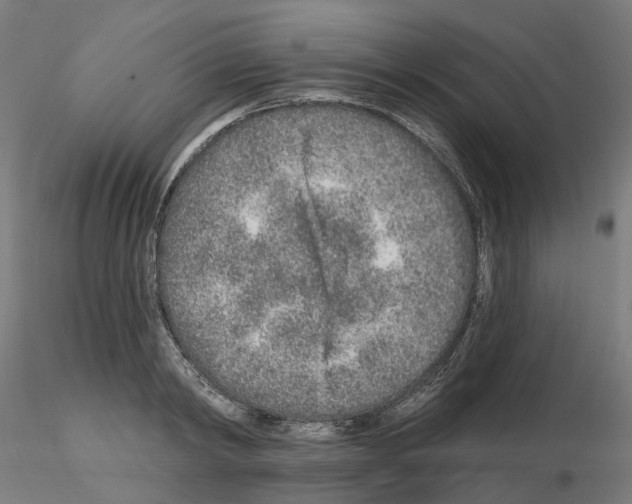 X0000115630798200912221248