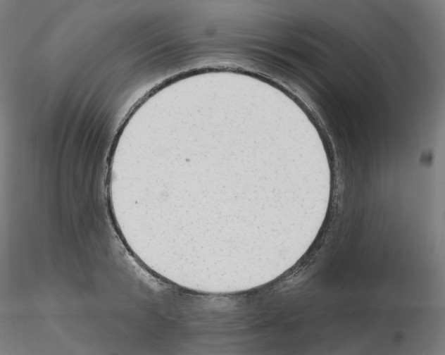 X0000115630799200912221248