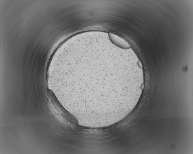 X0000115630800200912221248
