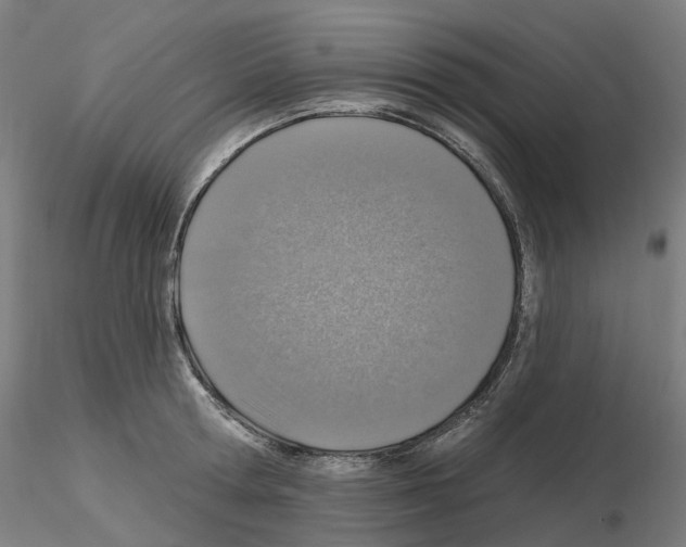 X0000115630802200912221248