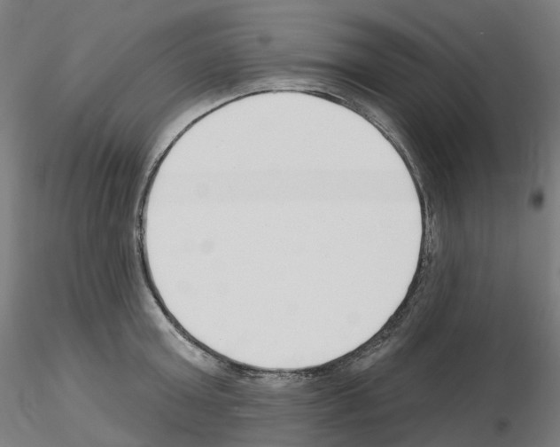 X0000115630803200912221248