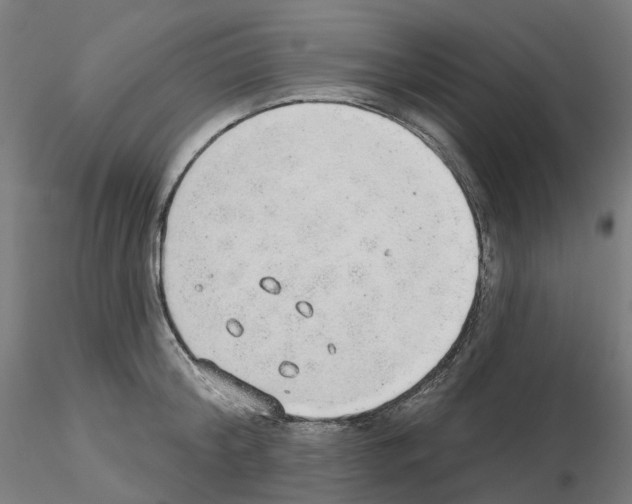 X0000115630804200912221248