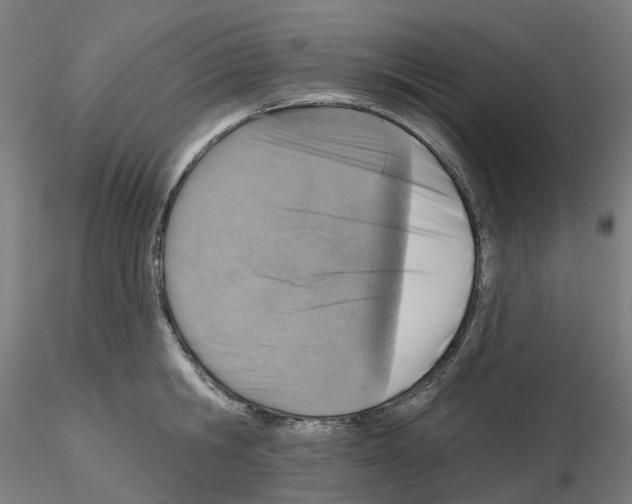 X0000115630806200912221248