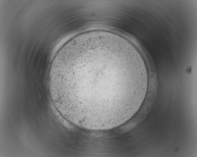 X0000115630807200912221248