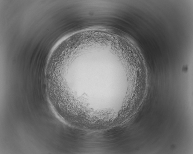 X0000115630808200912221248