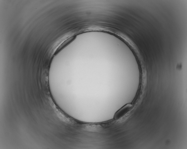 X0000115630809200912221248