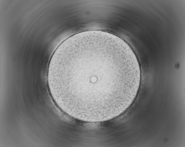 X0000115630810200912221248