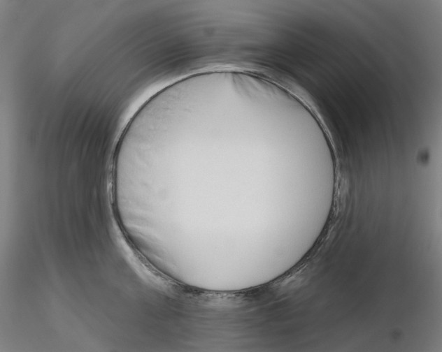 X0000115630811200912221248