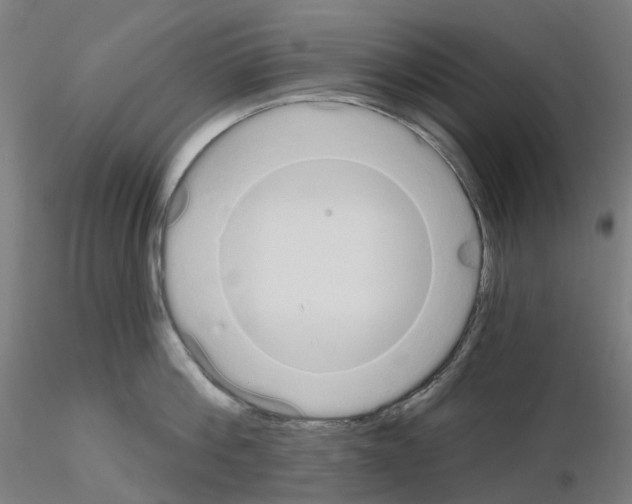 X0000115630812200912221248