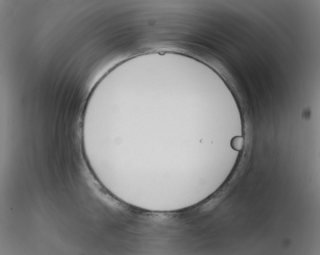 X0000115630814200912221248