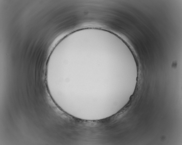 X0000115630815200912221248