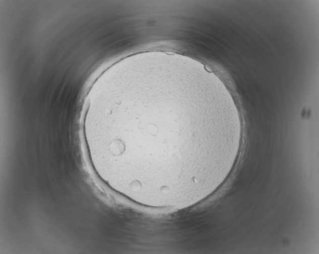 X0000115630816200912221248