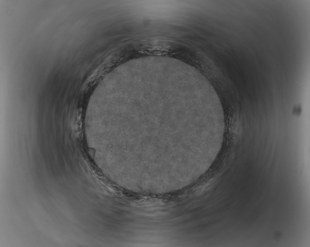 X0000115630818200912221247