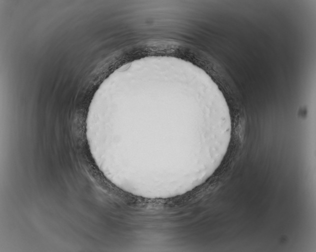 X0000115630819200912221247