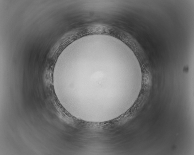 X0000115630820200912221247