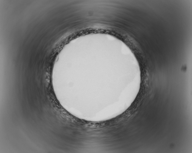 X0000115630821200912221247