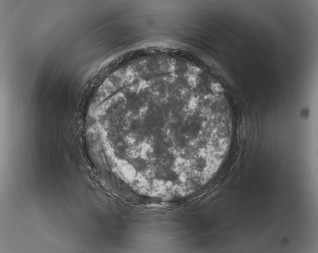 X0000115630822200912221247
