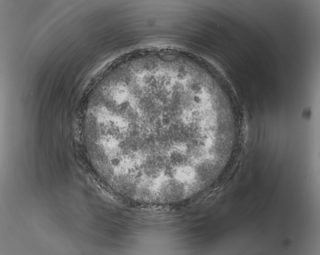 X0000115630823200912221247