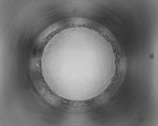 X0000115630824200912221247