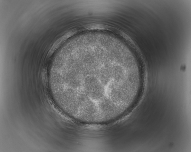 X0000115630825200912221247
