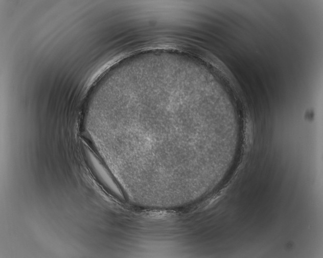 X0000115630826200912221247