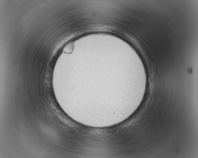 X0000115630827200912221247