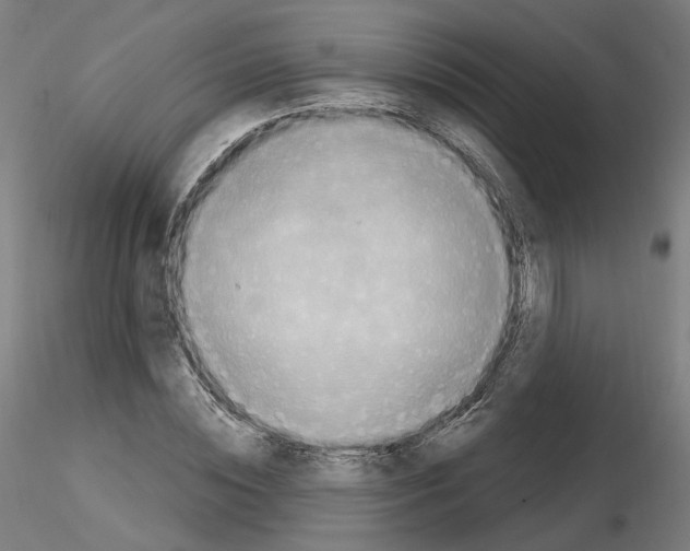 X0000115630828200912221247